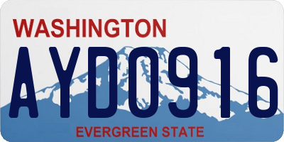 WA license plate AYD0916