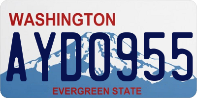 WA license plate AYD0955