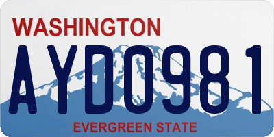 WA license plate AYD0981