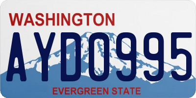 WA license plate AYD0995