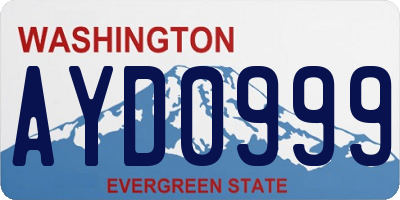 WA license plate AYD0999