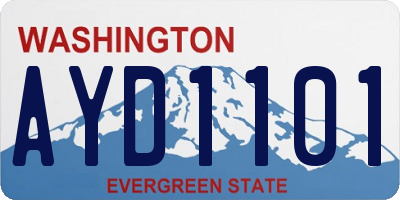 WA license plate AYD1101