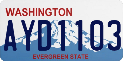 WA license plate AYD1103