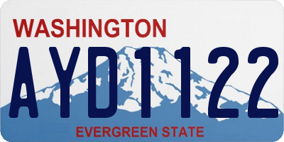 WA license plate AYD1122