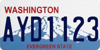 WA license plate AYD1123