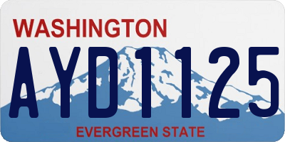 WA license plate AYD1125