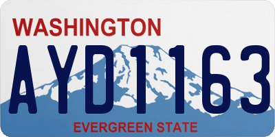 WA license plate AYD1163