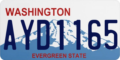 WA license plate AYD1165