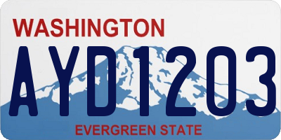 WA license plate AYD1203