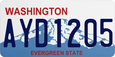 WA license plate AYD1205