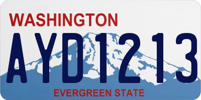 WA license plate AYD1213