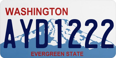 WA license plate AYD1222