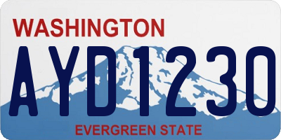 WA license plate AYD1230