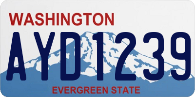 WA license plate AYD1239
