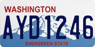 WA license plate AYD1246