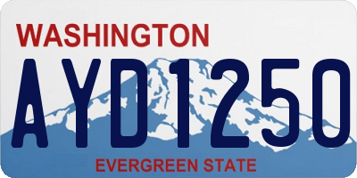 WA license plate AYD1250