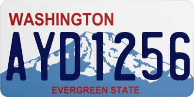 WA license plate AYD1256