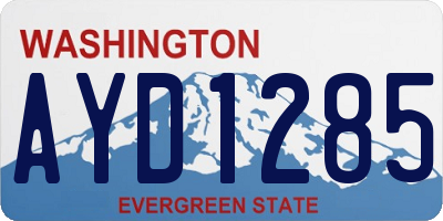 WA license plate AYD1285