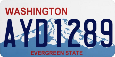 WA license plate AYD1289