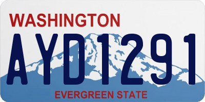 WA license plate AYD1291