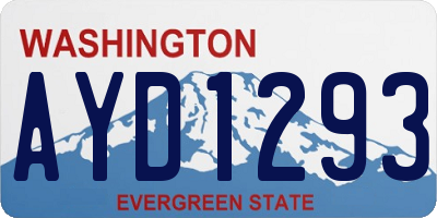 WA license plate AYD1293