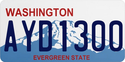 WA license plate AYD1300