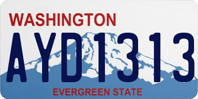 WA license plate AYD1313