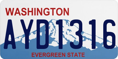 WA license plate AYD1316