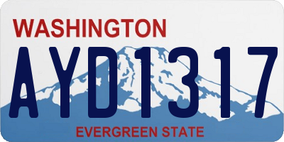 WA license plate AYD1317
