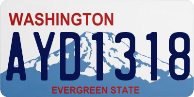 WA license plate AYD1318