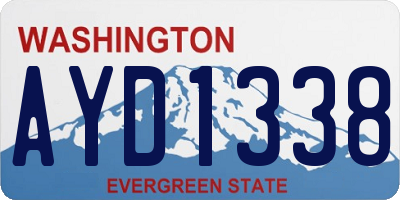 WA license plate AYD1338
