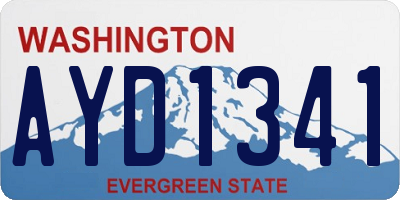 WA license plate AYD1341