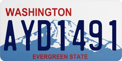 WA license plate AYD1491