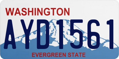 WA license plate AYD1561
