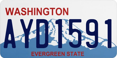 WA license plate AYD1591