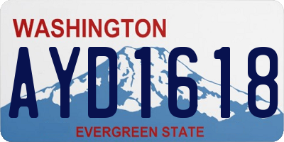 WA license plate AYD1618