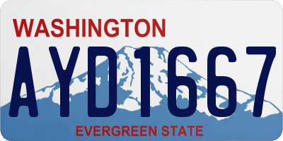WA license plate AYD1667
