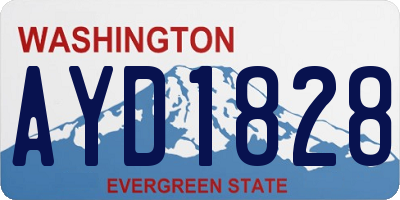 WA license plate AYD1828