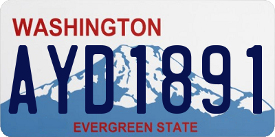 WA license plate AYD1891