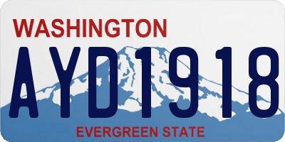 WA license plate AYD1918