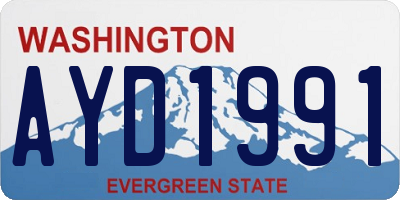 WA license plate AYD1991