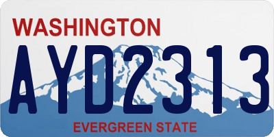 WA license plate AYD2313