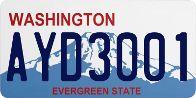 WA license plate AYD3001