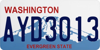 WA license plate AYD3013