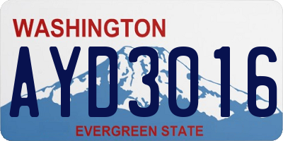WA license plate AYD3016