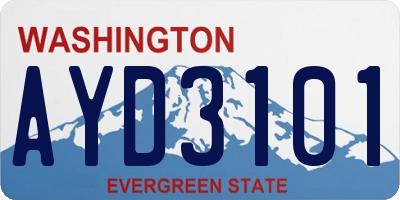 WA license plate AYD3101