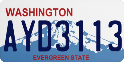 WA license plate AYD3113