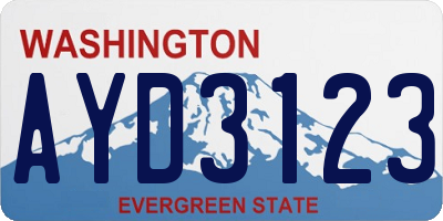 WA license plate AYD3123