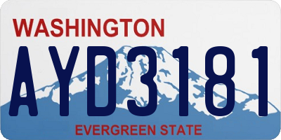 WA license plate AYD3181