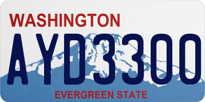 WA license plate AYD3300